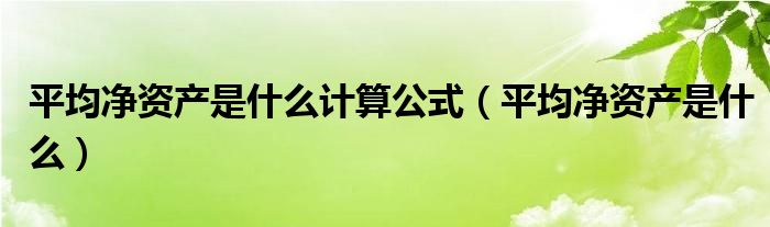 平均净资产是什么计算公式（平均净资产是什么）