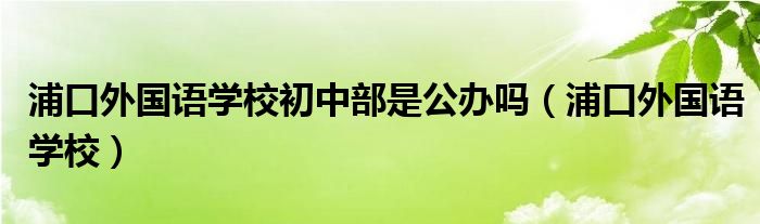 浦口外国语学校初中部是公办吗（浦口外国语学校）