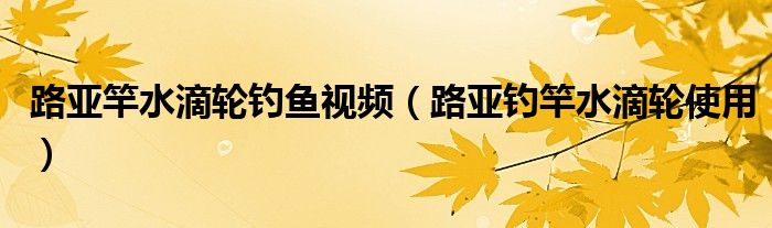 路亚竿水滴轮钓鱼视频（路亚钓竿水滴轮使用）