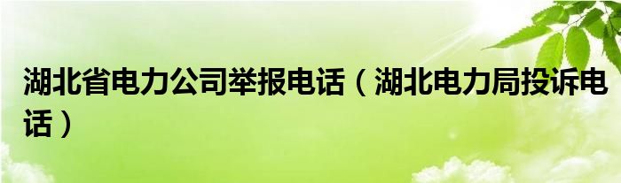 湖北省电力公司举报电话（湖北电力局投诉电话）