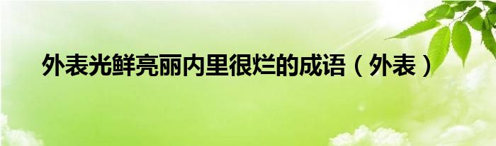 外表光鲜亮丽内里很烂的成语（外表）