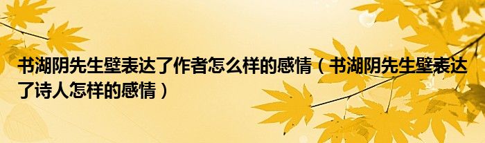 书湖阴先生壁表达了作者怎么样的感情（书湖阴先生壁表达了诗人怎样的感情）