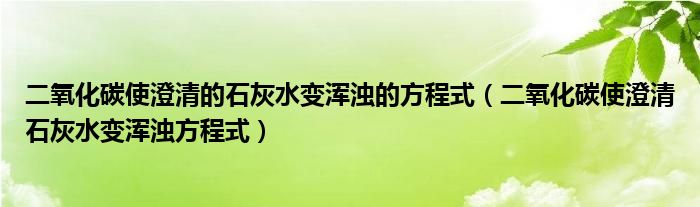 二氧化碳使澄清的石灰水变浑浊的方程式（二氧化碳使澄清石灰水变浑浊方程式）