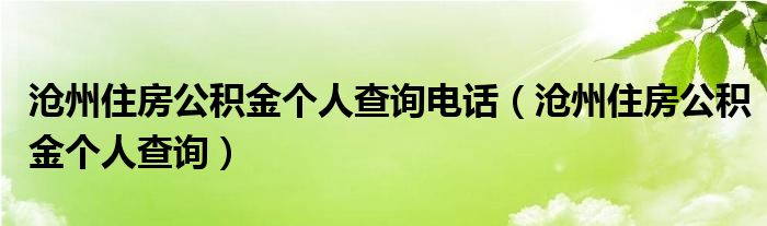 沧州住房公积金个人查询电话（沧州住房公积金个人查询）