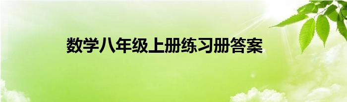 数学八年级上册练习册答案