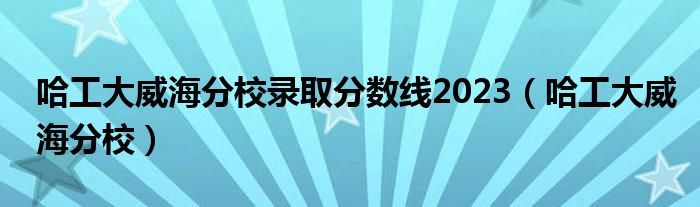 哈工大威海分校录取分数线2023（哈工大威海分校）