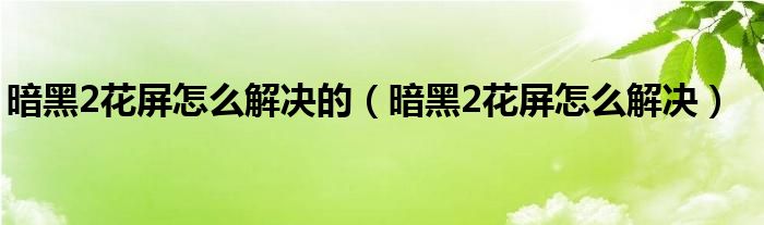 暗黑2花屏怎么解决的（暗黑2花屏怎么解决）