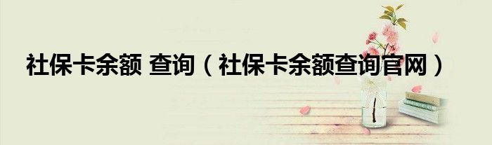社保卡余额 查询（社保卡余额查询官网）