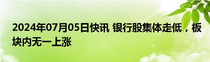 2024年07月05日快讯 银行股集体走低，板块内无一上涨