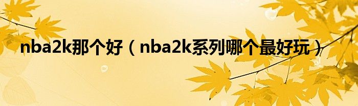 nba2k那个好（nba2k系列哪个最好玩）