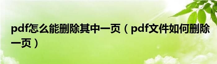 pdf怎么能删除其中一页（pdf文件如何删除一页）