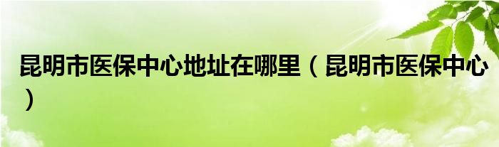 昆明市医保中心地址在哪里（昆明市医保中心）