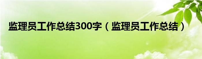 监理员工作总结300字（监理员工作总结）