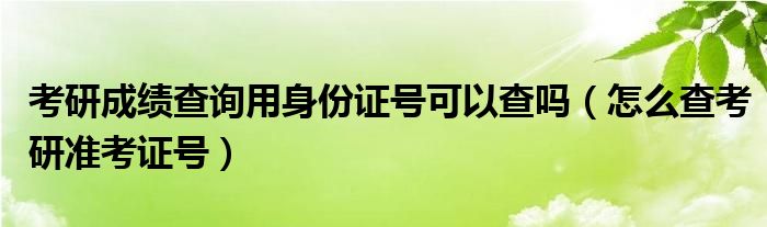 考研成绩查询用身份证号可以查吗（怎么查考研准考证号）