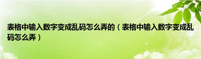 表格中输入数字变成乱码怎么弄的（表格中输入数字变成乱码怎么弄）