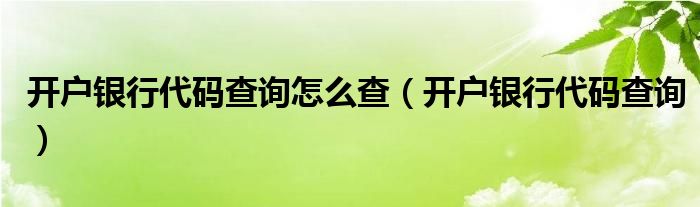 开户银行代码查询怎么查（开户银行代码查询）