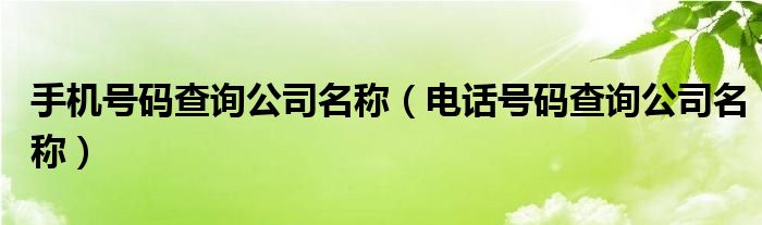 手机号码查询公司名称（电话号码查询公司名称）