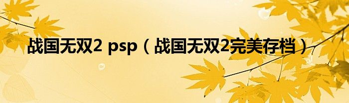 战国无双2 psp（战国无双2完美存档）