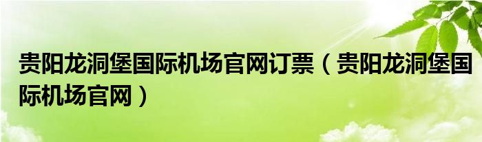 贵阳龙洞堡国际机场官网订票（贵阳龙洞堡国际机场官网）