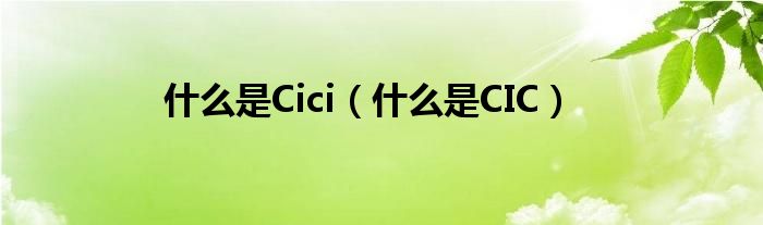 什么是Cici（什么是CIC）