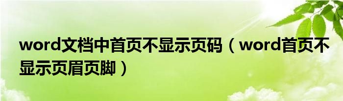 word文档中首页不显示页码（word首页不显示页眉页脚）