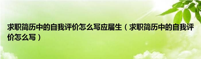 求职简历中的自我评价怎么写应届生（求职简历中的自我评价怎么写）