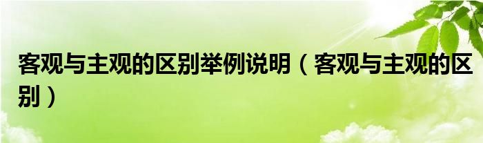 客观与主观的区别举例说明（客观与主观的区别）