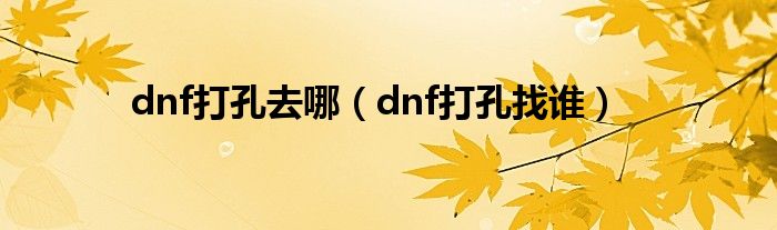 dnf打孔去哪（dnf打孔找谁）