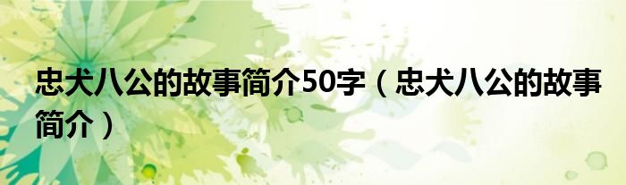 忠犬八公的故事简介50字（忠犬八公的故事简介）