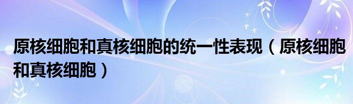 原核细胞和真核细胞的统一性表现（原核细胞和真核细胞）