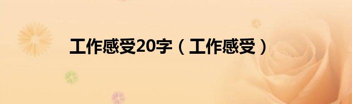 工作感受20字（工作感受）