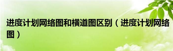 进度计划网络图和横道图区别（进度计划网络图）