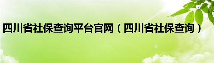 四川省社保查询平台官网（四川省社保查询）