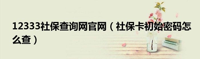 12333社保查询网官网（社保卡初始密码怎么查）