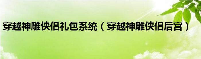 穿越神雕侠侣礼包系统（穿越神雕侠侣后宫）