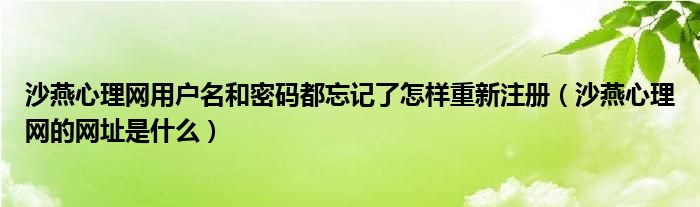 沙燕心理网用户名和密码都忘记了怎样重新注册（沙燕心理网的网址是什么）