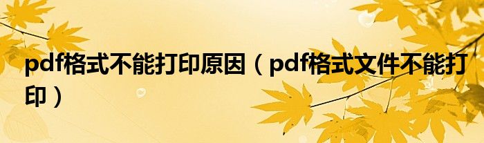 pdf格式不能打印原因（pdf格式文件不能打印）