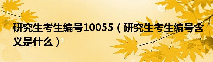 研究生考生编号10055（研究生考生编号含义是什么）