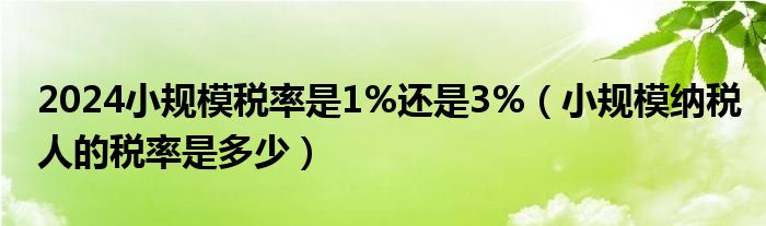 2024小规模税率是1%还是3%（小规模纳税人的税率是多少）