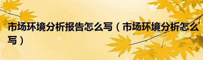 市场环境分析报告怎么写（市场环境分析怎么写）