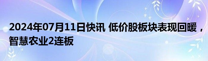 2024年07月11日快讯 低价股板块表现回暖，智慧农业2连板