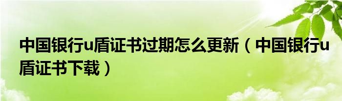 中国银行u盾证书过期怎么更新（中国银行u盾证书下载）