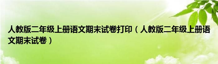 人教版二年级上册语文期末试卷打印（人教版二年级上册语文期末试卷）