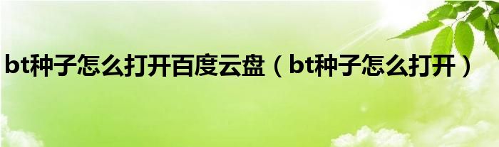 bt种子怎么打开百度云盘（bt种子怎么打开）