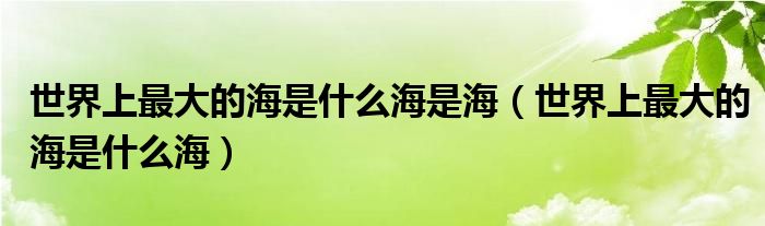 世界上最大的海是什么海是海（世界上最大的海是什么海）