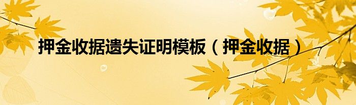 押金收据遗失证明模板（押金收据）