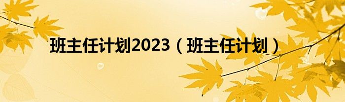 班主任计划2023（班主任计划）