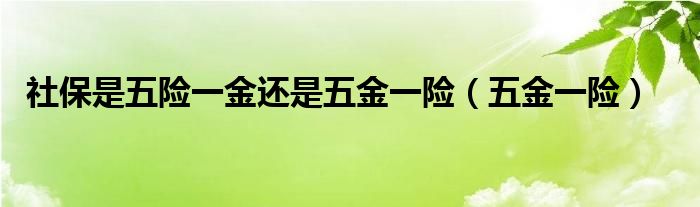 社保是五险一金还是五金一险（五金一险）