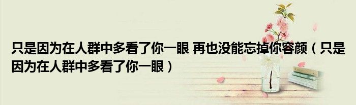 只是因为在人群中多看了你一眼 再也没能忘掉你容颜（只是因为在人群中多看了你一眼）