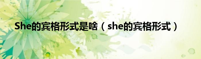 She的宾格形式是啥（she的宾格形式）